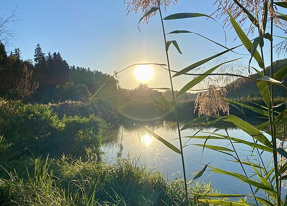 Rückblick zum heissen Sommerabend