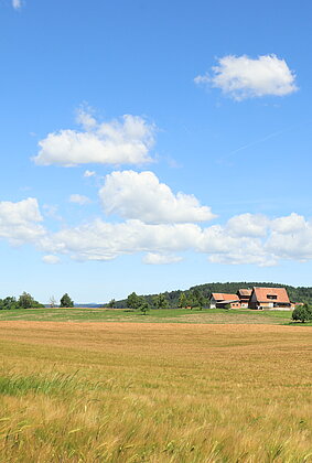 Der sonnige Sonntag lockte mich nach draussen