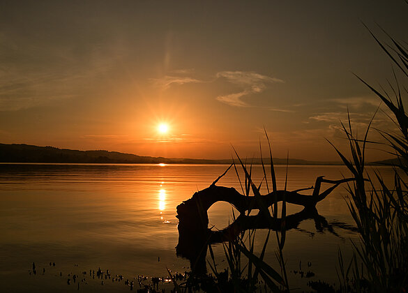 Traumhafte Abendsimmung am Sempachersee