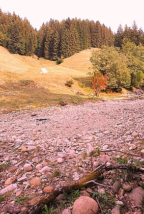 Staubtrocken und weiteres Warten auf den erhofften Regen. 