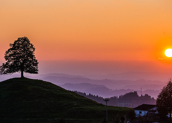 Traumhafter Sonnenuntergang!