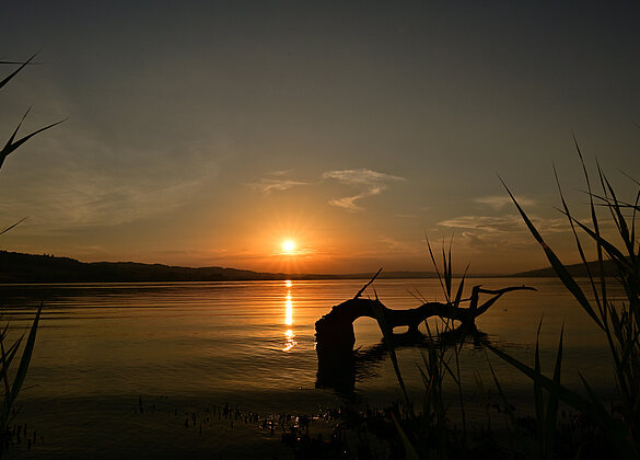 Traumhafte Abendsimmung am Sempachersee
