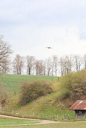 Noch bleibt der Regen aus