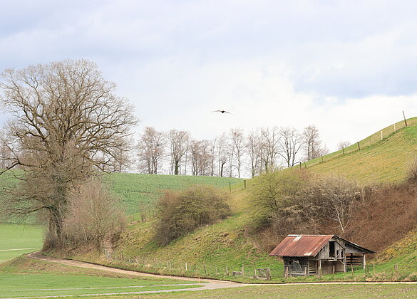 Noch bleibt der Regen aus