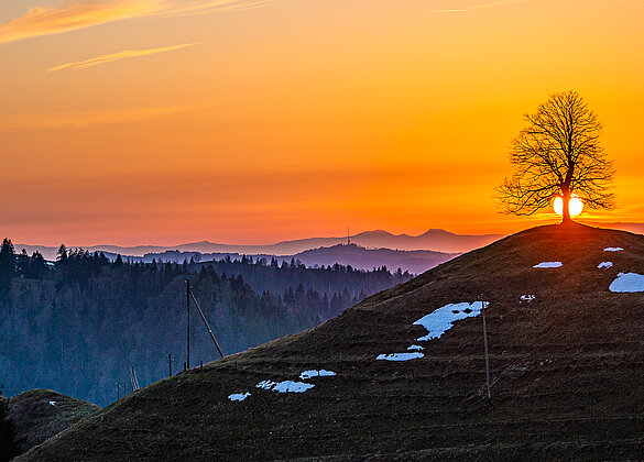 Traumhafter Sonnenuntergang!