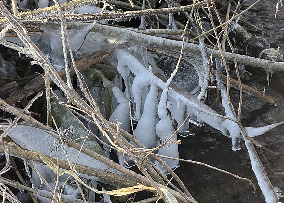 Traumhafter Morgenspaziergang 