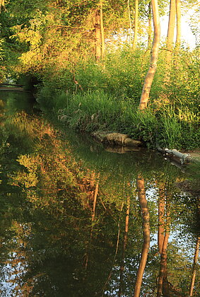 Der farbige Sonnenaufgang widerspiegelt sich im Wasser