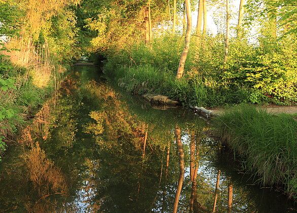 Der farbige Sonnenaufgang widerspiegelt sich im Wasser