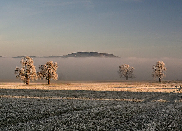 Ein herrlich verzuckerten Morgen