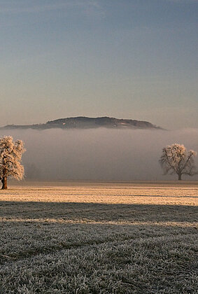 Ein herrlich verzuckerten Morgen