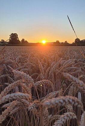 Sonnenaufgang