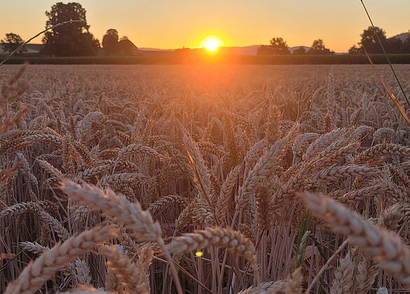 Sonnenaufgang