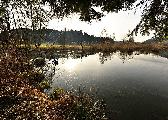 Noch herrscht Winterruhe im Ostergau
