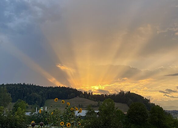 Die letzten Sonnenstrahlen vor dem aufziehenden Gewitter