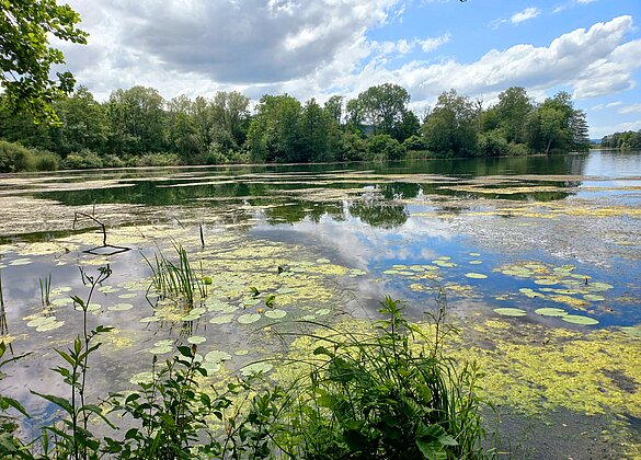 Sonntagnachmittag am Mauensee