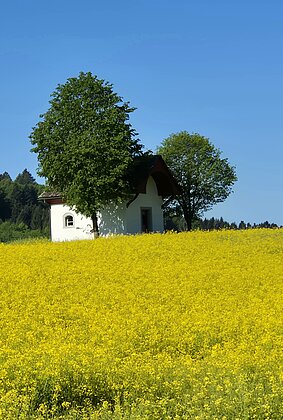Die Siebenschläfer-Kapelle in Dagmersellen.