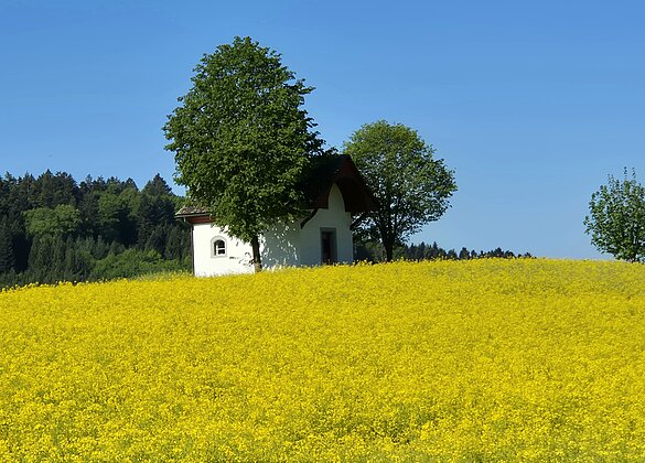 Die Siebenschläfer-Kapelle in Dagmersellen.