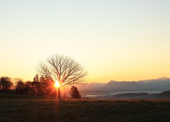 Ein neuer sonniger Tag beginnt