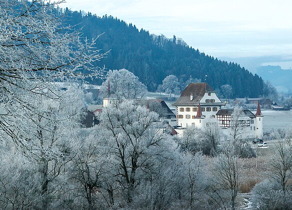 Schloss Wyher in weiss gehüllt