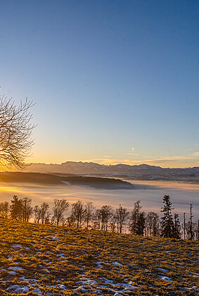Traumhafter Sonnenaufgang!