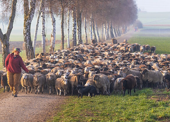 Landschaftspfleger vom Feinsten
