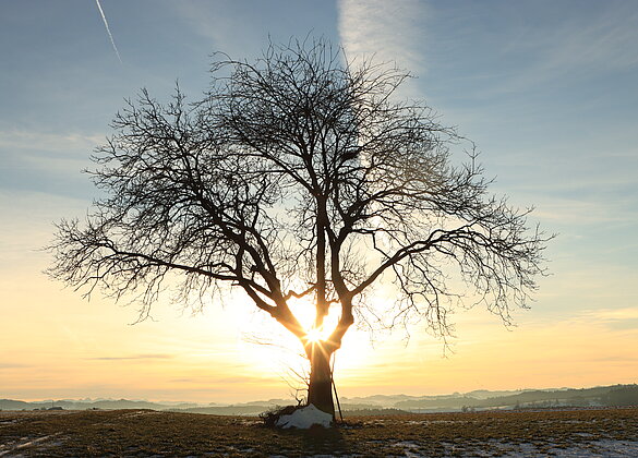 Langsam geht die Sonne unter