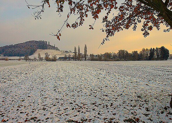 Der erste Schnee in unberührter Landschaft 