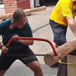151645_151656.jpeg