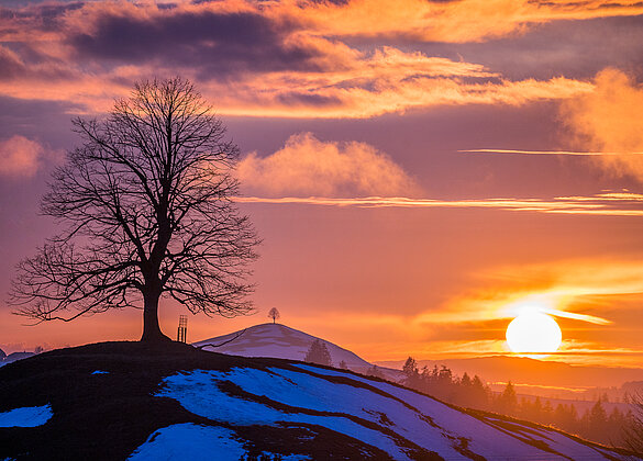 Stimmungsvoller Sonnenuntergang