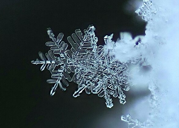 wunderschöne Schneekristalle..und das im März