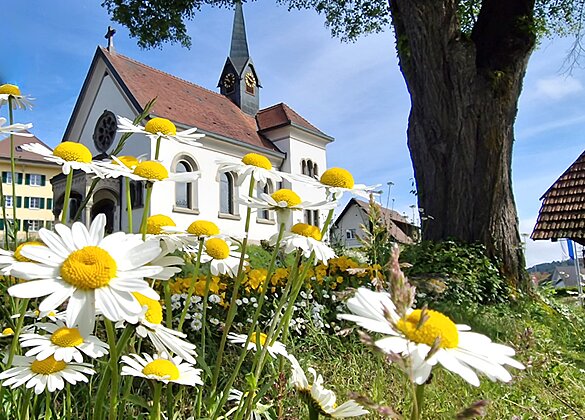 Blütenzauber bei der Kapelle St. Wendelin in Roggliswil.