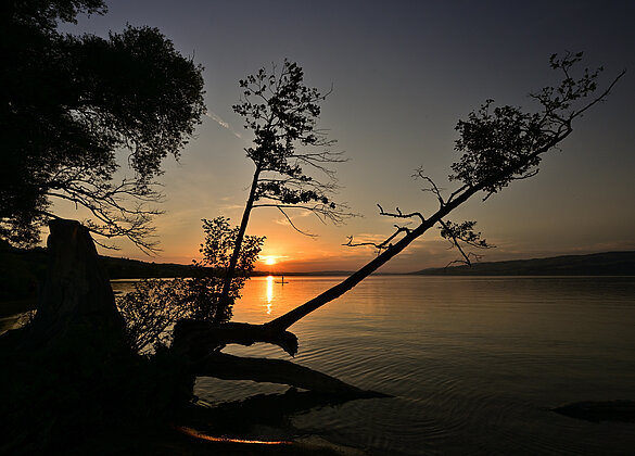 Traumhafte Abendsimmung am Sempachersee