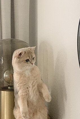 Tacolina staunt: Hab ich plötzlich einen Zwilling?