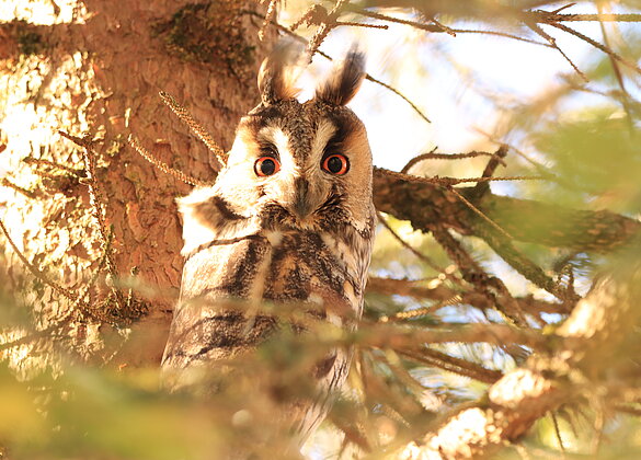 gesucht und gefunden