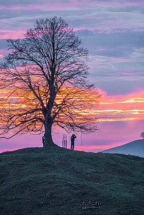Abendstimmung auf dem Ahorn!