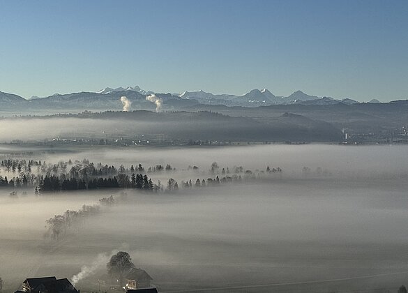 Morgenstimmung,Wauwilermoos,Richtung Berner Alpen
