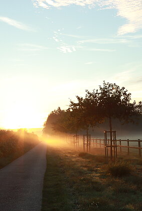 Sonntagmorgenstimmung