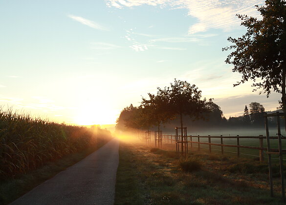 Sonntagmorgenstimmung