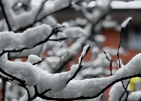 Winter im Städtli Willisau