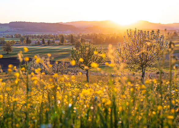 Der neuer Tag beginnt mit strahlendem Sonnenschein
