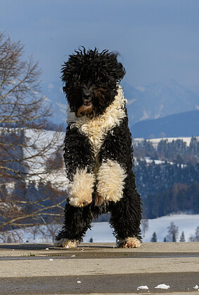 Ur Mensch oder de Globi vom Seilihus
