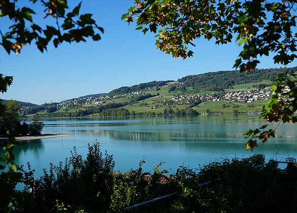 Sommeridylle am Hallwilersee