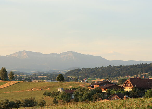 Morgenidylle auf dem Land