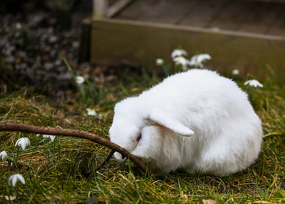 Jetzt kann Ostern kommen