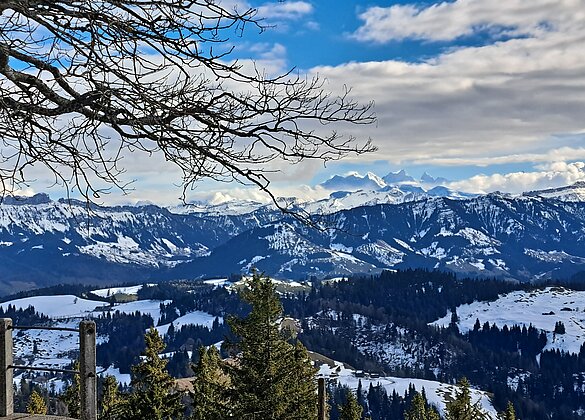 Napf noch eingeschneit.