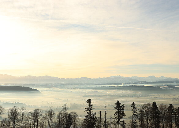 Der Nebel lichtet sich