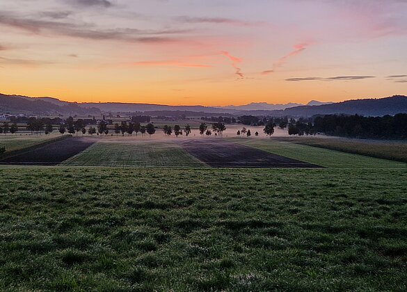 Ein Hauch von Herbst im ersten Morgenlicht