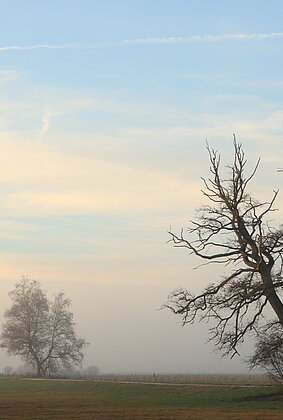 Der Nebel schleicht sich wieder heran