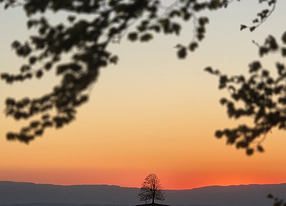 Abendstimmung auf dem Ahorn