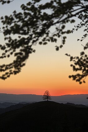 Abendstimmung auf dem Ahorn